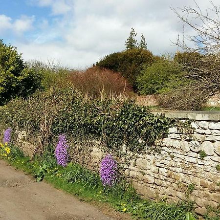 Owl Cottage Hexham Kültér fotó