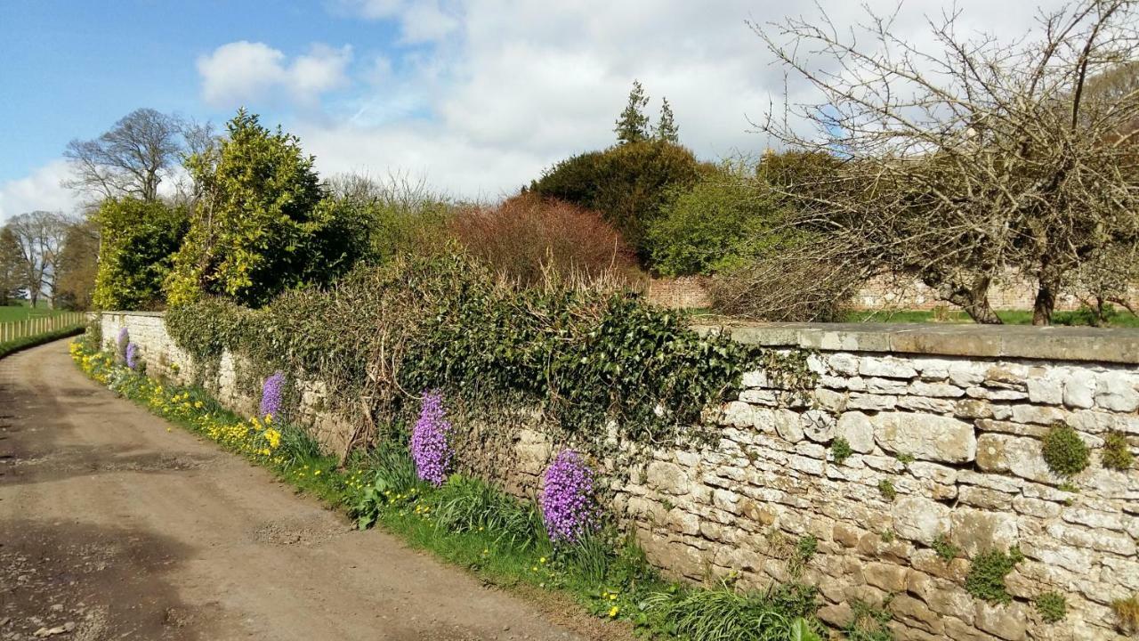 Owl Cottage Hexham Kültér fotó