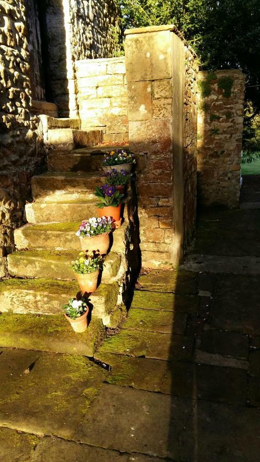 Owl Cottage Hexham Kültér fotó